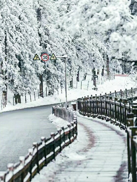 这个冬天去仙女山看雪吧！