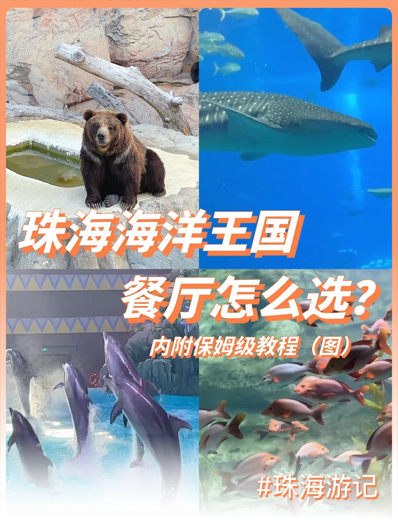 保姆级教程|珠海长隆海洋王国餐厅怎么选