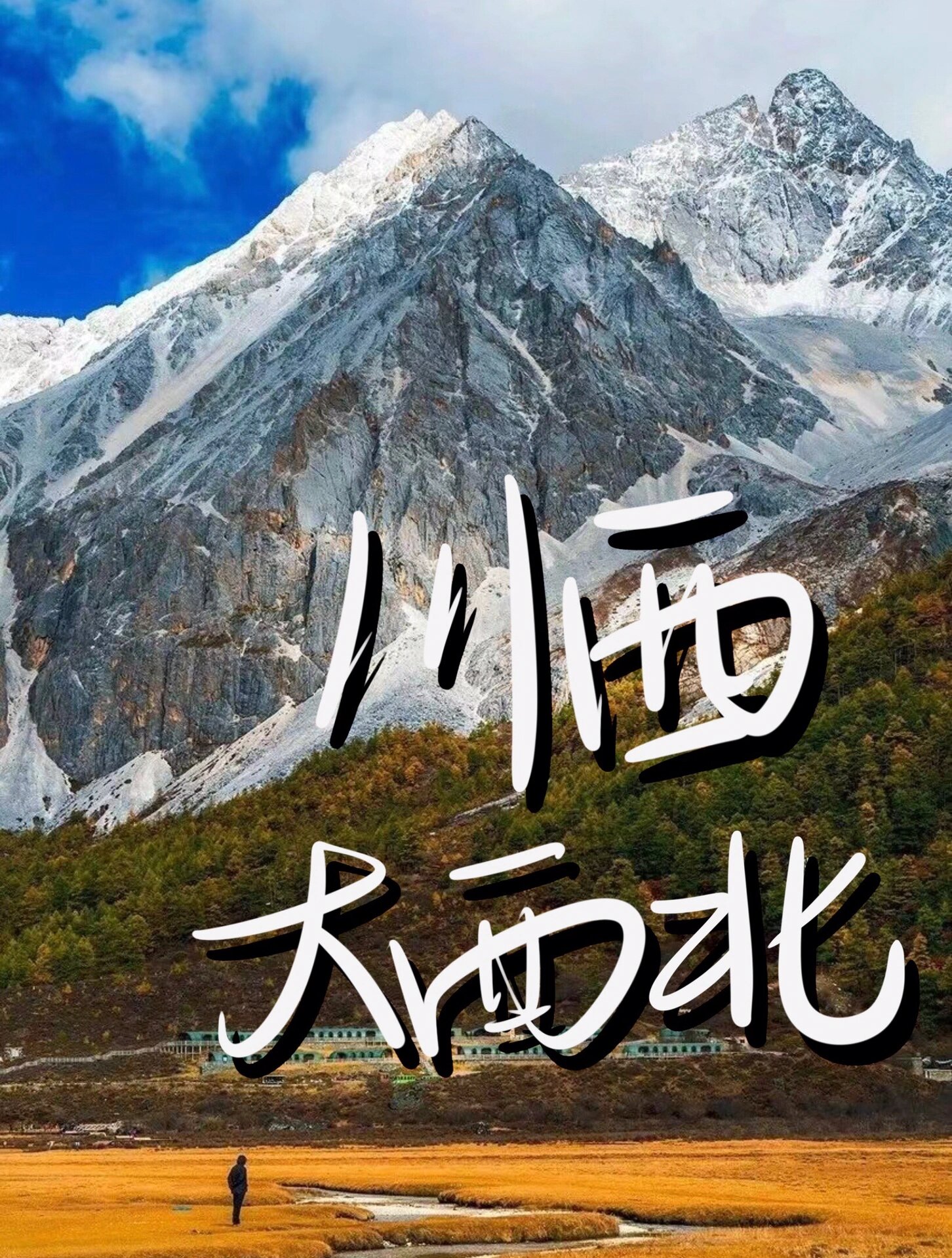 西北大环线丨金秋十月额济纳胡杨林攻略