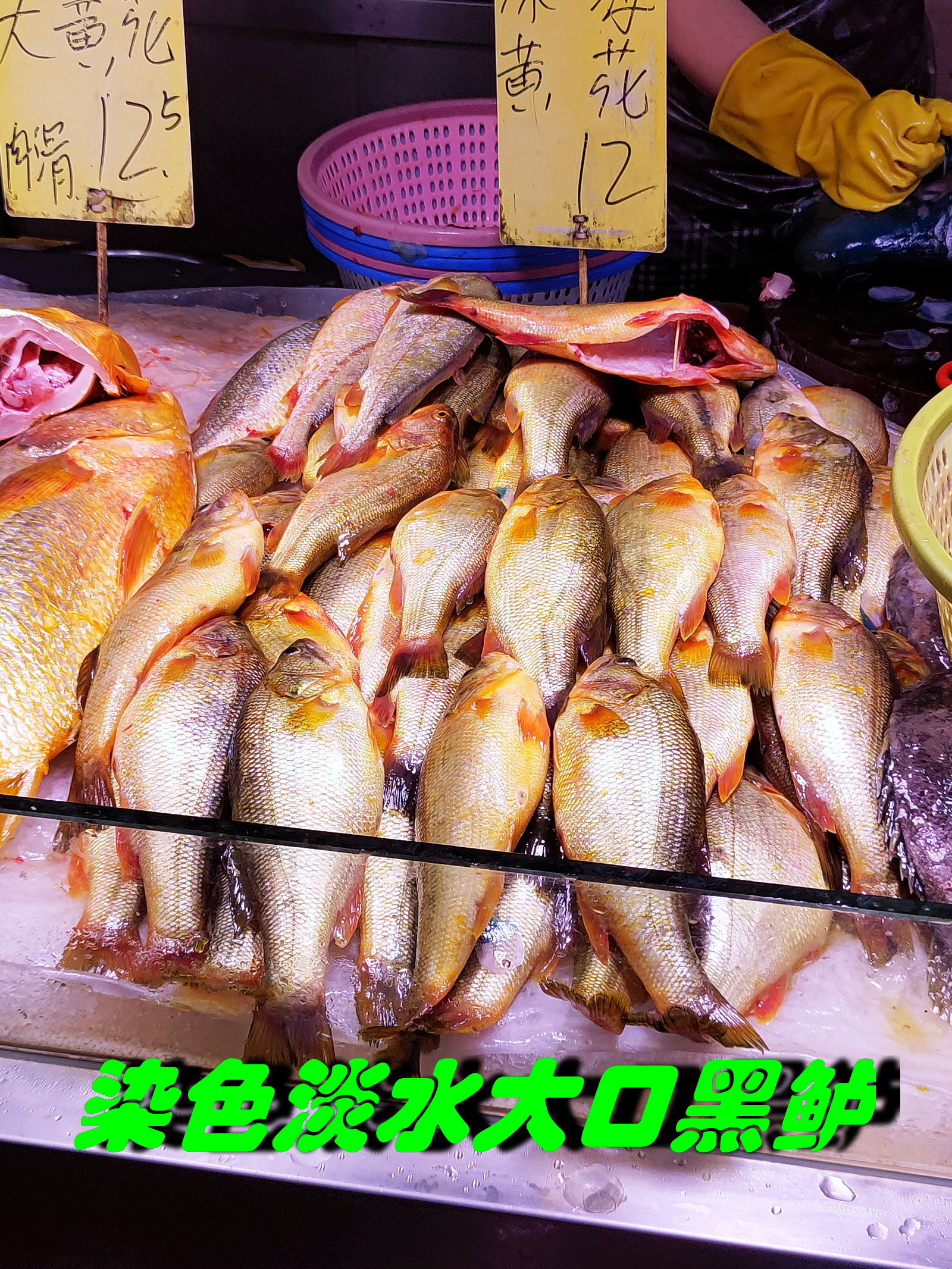 【大口金鲈】大黄鱼素有大金条之称，广受欢迎。商贩们因此动起来歪脑筋，用一些便宜的