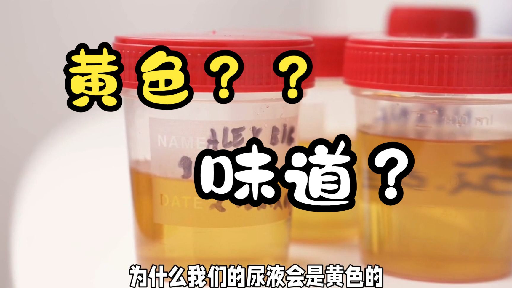 令人疑惑的尿液：为何总有一股味道？身体告诉我们什么？