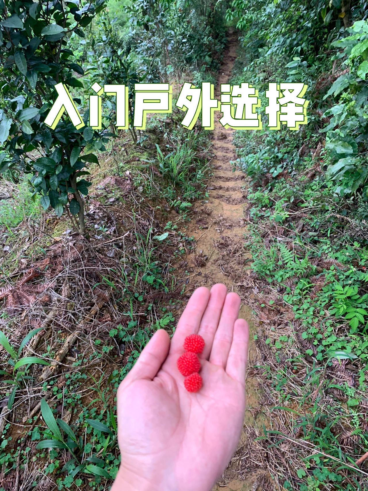 入门徒步选择｜不出广州｜从化十登三角髻