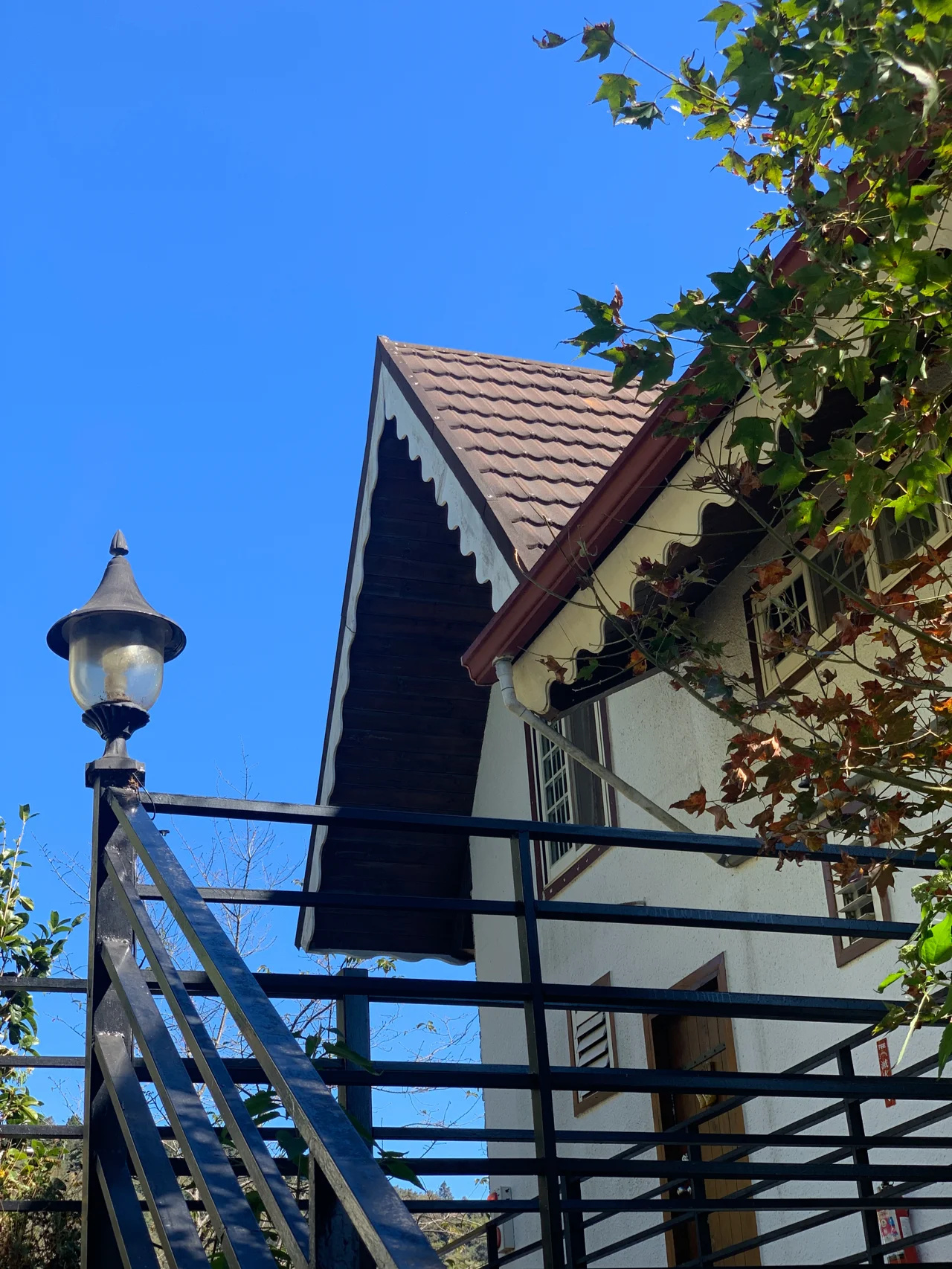 台湾亲子游❤️清境农场民宿白熊屋