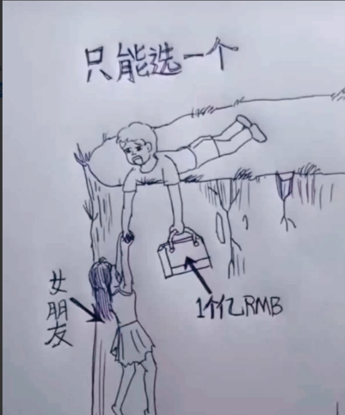 “1亿人民币和女朋友只能选一个！”我敢说，这个题比研发光刻机还难！换你你会怎么选