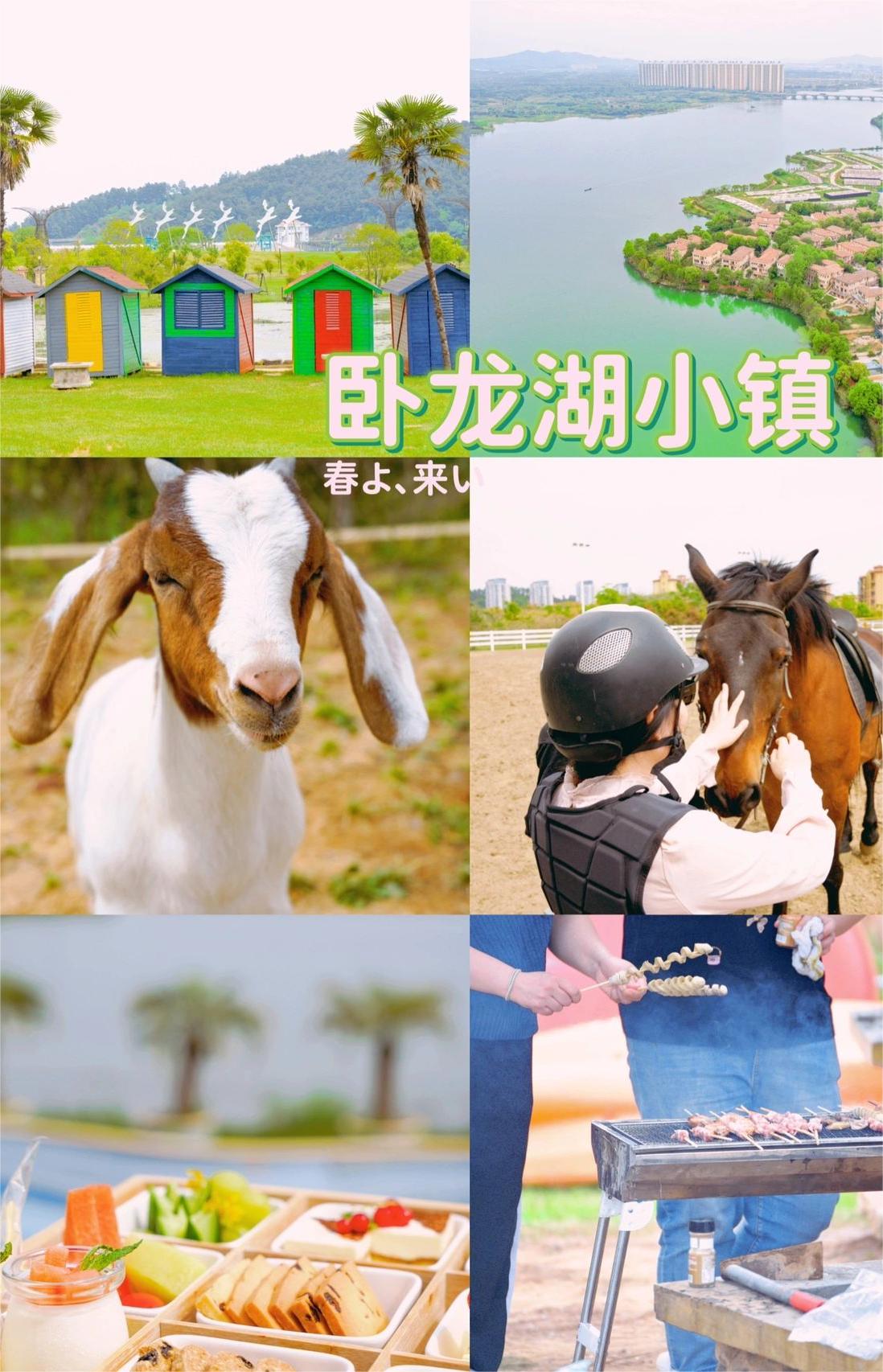 南京｜去哪玩？这个免费遛娃圣地快Mark