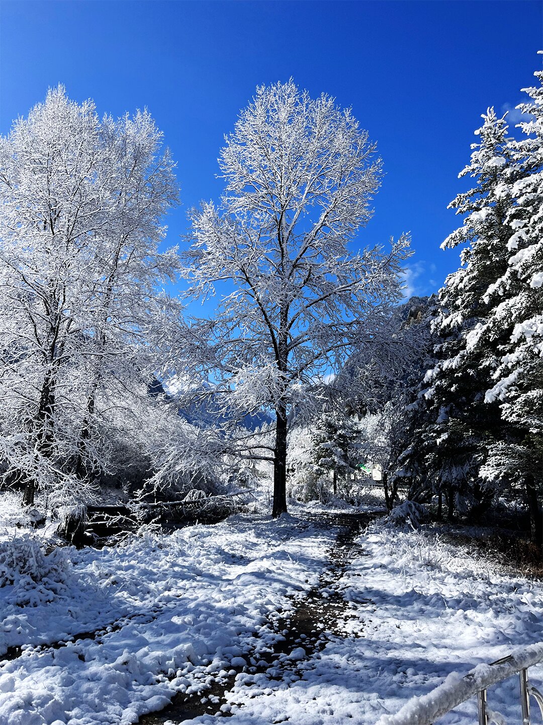 11、12月去四川阿坝玩雪