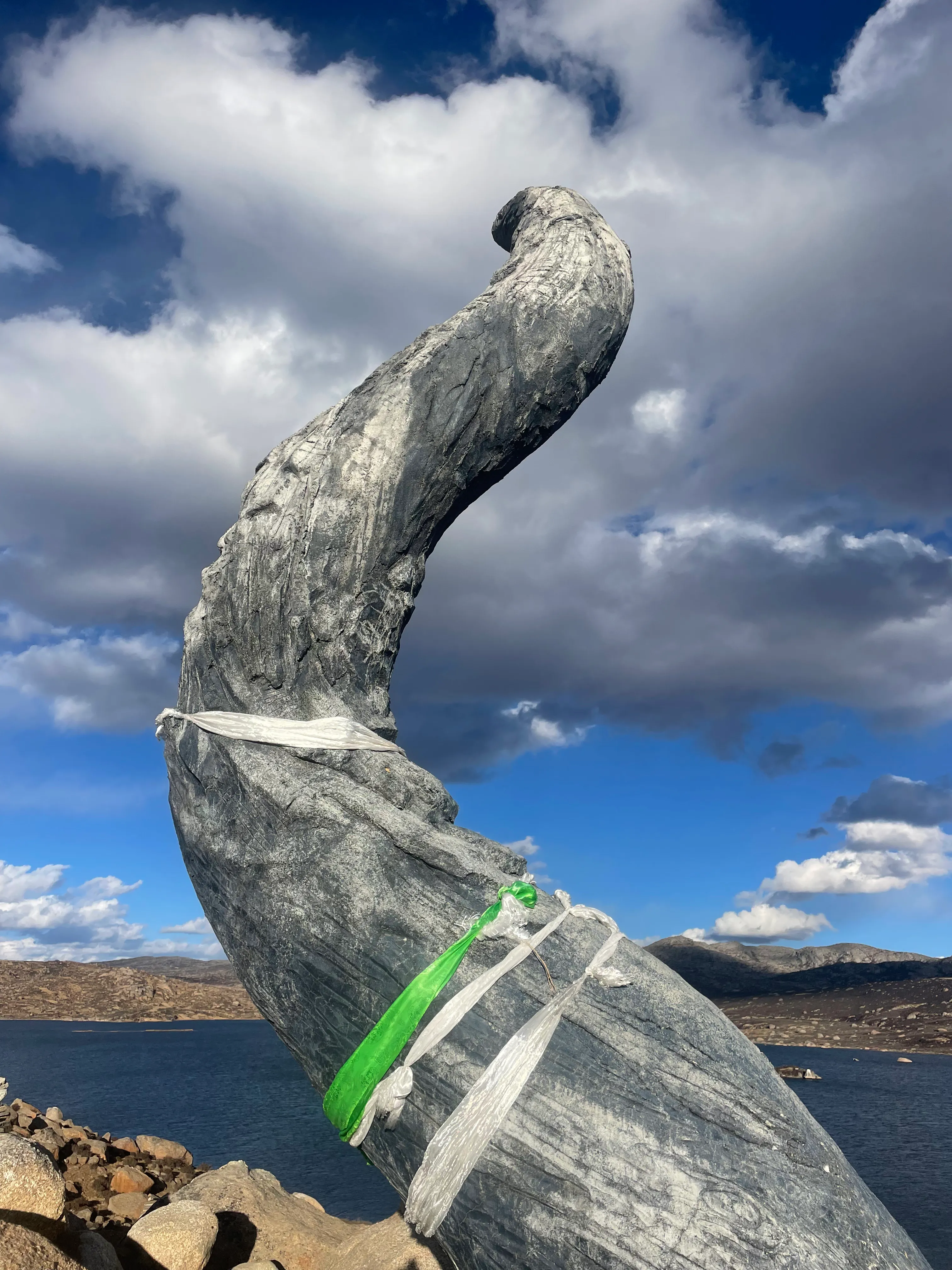 一个老乡昨天跳楼了，08年来的昆明，辛苦打拼多年，好不容易积攒了千万资产，在昆明