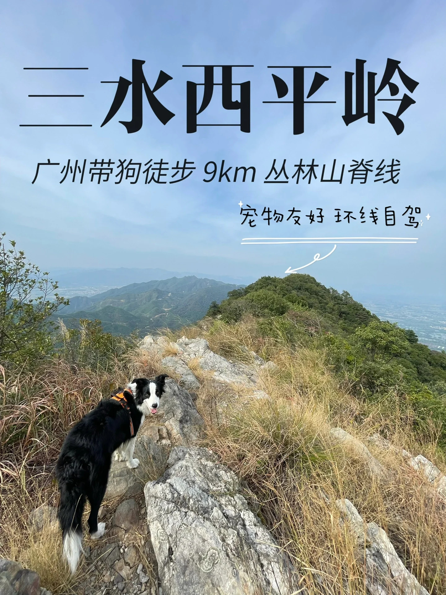 广州带狗徒步 三水第一峰西平岭 