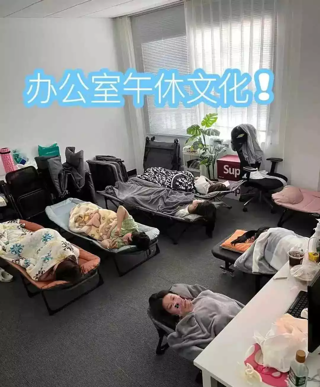 作为公司唯一的男士，中午总会被逼着赶出办公室