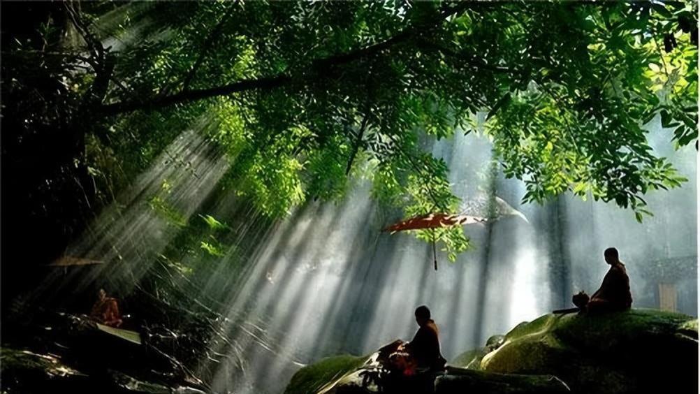 洗髓功之——意根不漏（调心）要诀揭秘