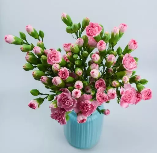 中国有五鬼
1、第一：烟鬼
2、第二：酒鬼
3、第三：赌鬼
4、第四：穷鬼
5、