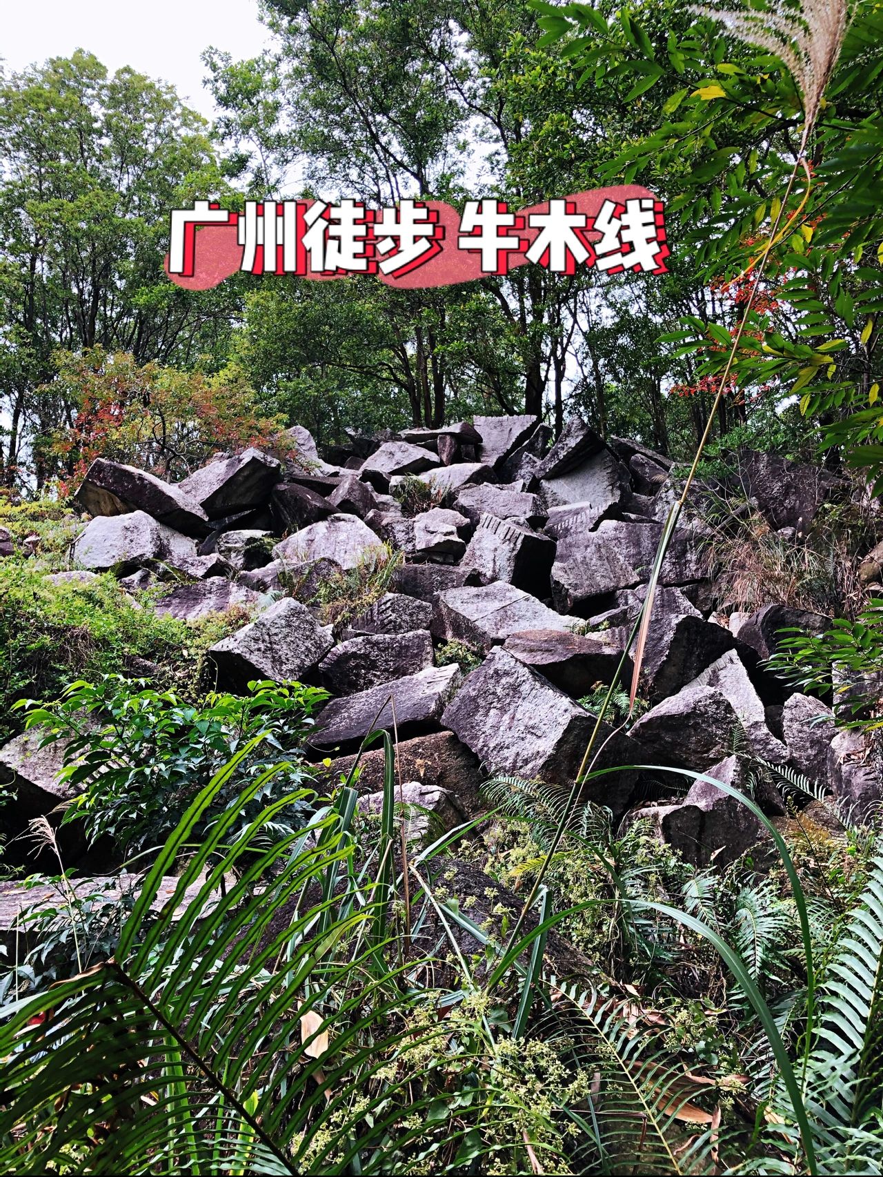 广州途步 经典牛木线 路线攻略
