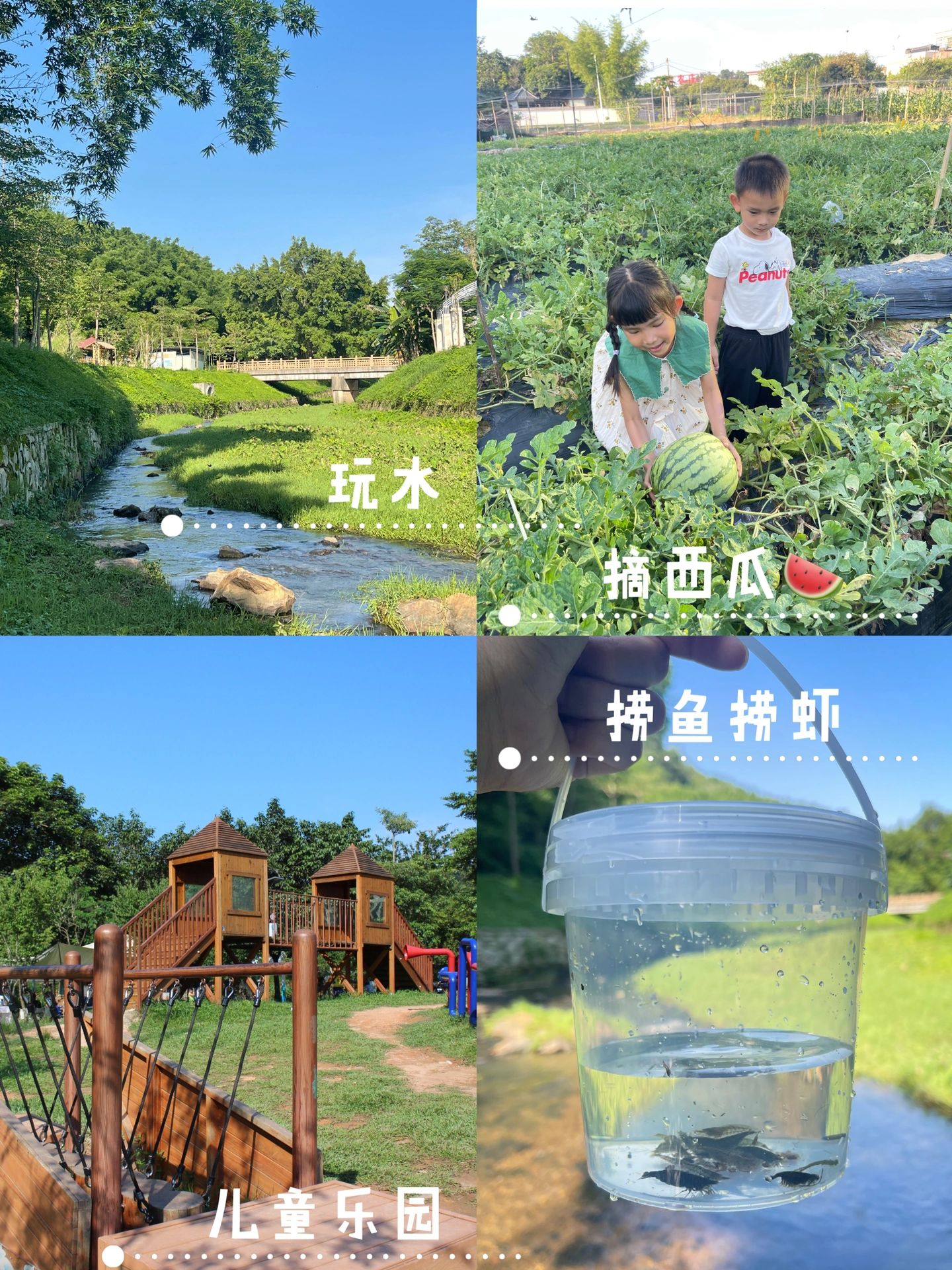 帽峰山下溪水捞虾摘西瓜儿童乐园，太好玩了