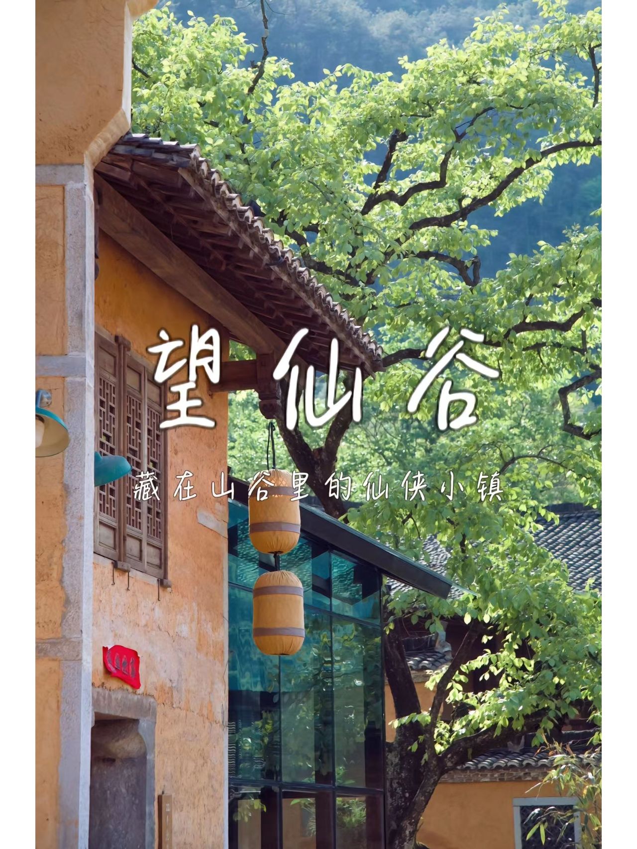 在江西上饶望仙谷体验一个夏天