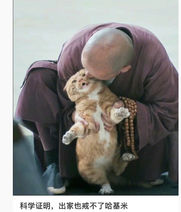 事实证明出家也戒不了哈基米[喵喵] ​​​