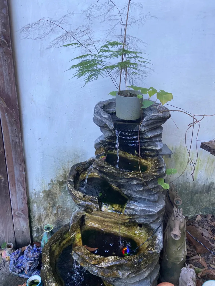 深圳一个休闲团建的好地方