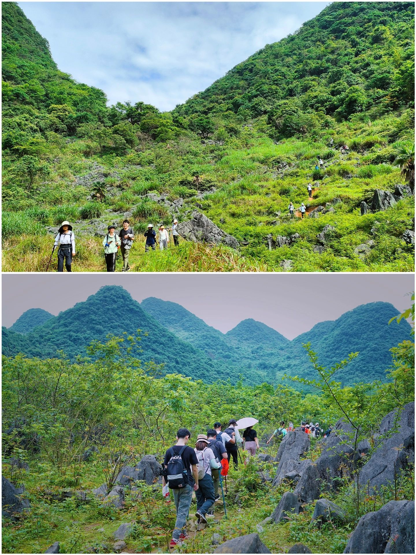 牛湖线|我宣布这是清远最美的徒步路线❗️