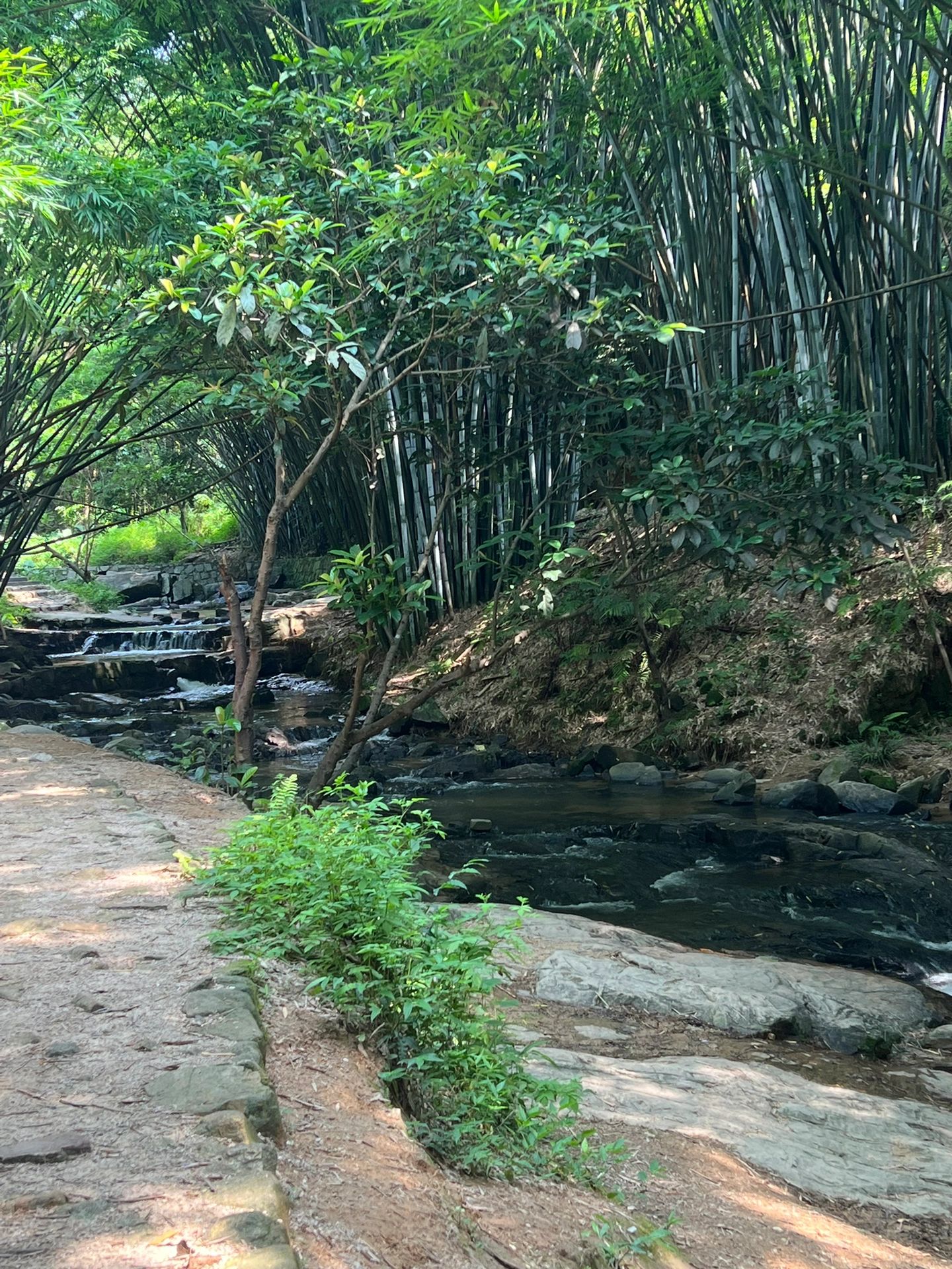 广州黄埔徒步环线！小白放心冲！