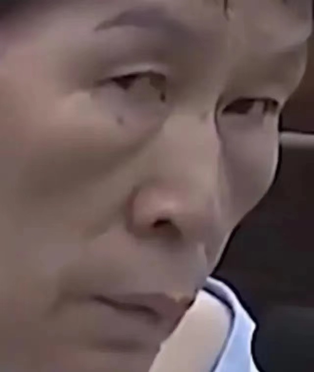余华英，一位恶魔般的人物，拐卖了11名儿童甚至连自己的儿子都不放过。她的眼神里透