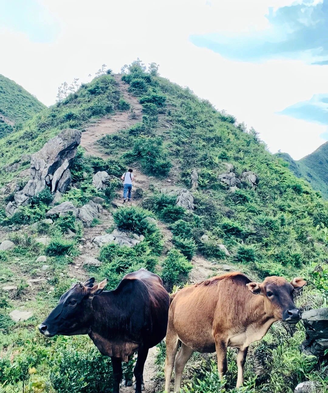 茂名三官顶攻略