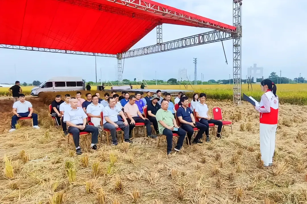 网上看到这张照片，不知道是真是假？不敢相信，但评论区有人说参加过这样的会议。
在