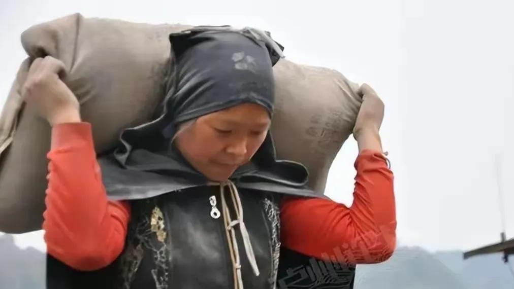 热搜上河南七旬老人扛水泥事件，周教授：这是我们社保体系的耻辱！！