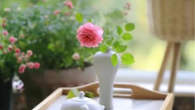 婚姻为什么变成了爱情的坟墓？一位可怜女人的哀叹