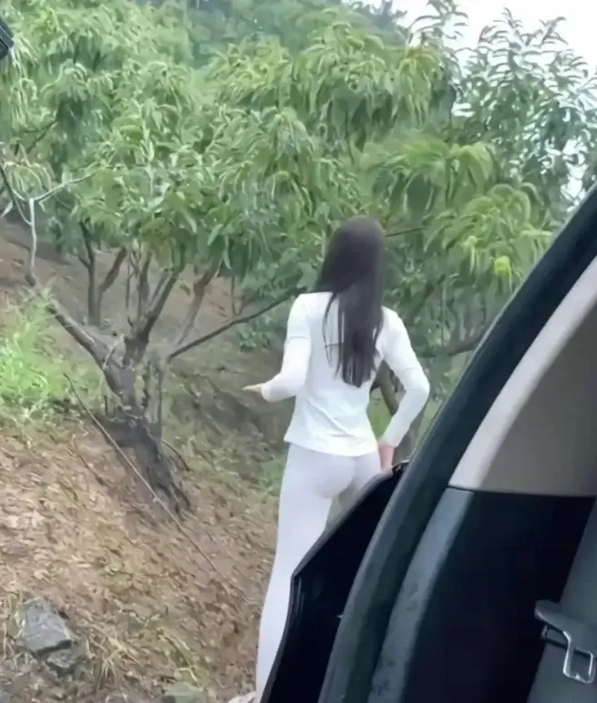 在这看风景还是做核酸。
