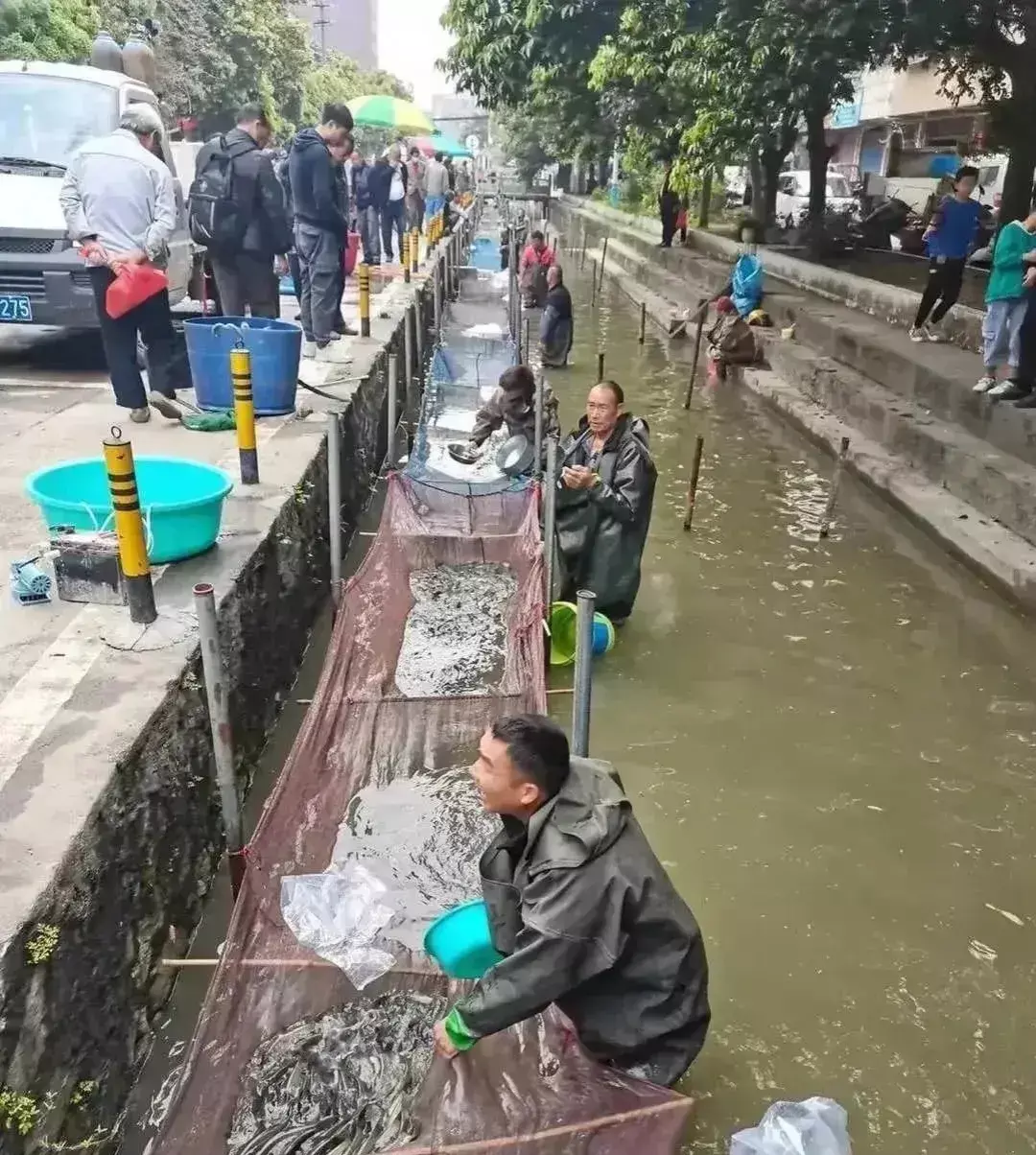 再也不会说我占道经营了吧