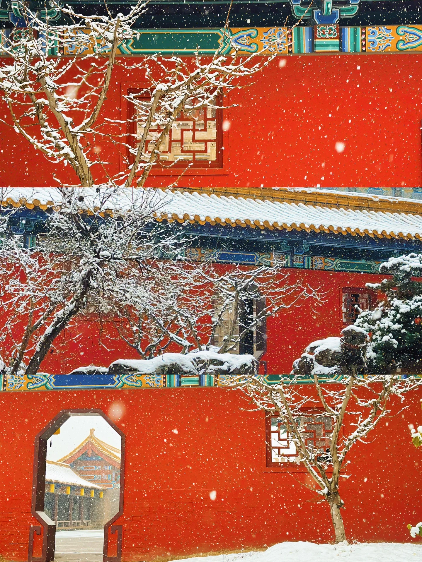 🎐无锡小故宫赏雪前线发来消息‼️好美