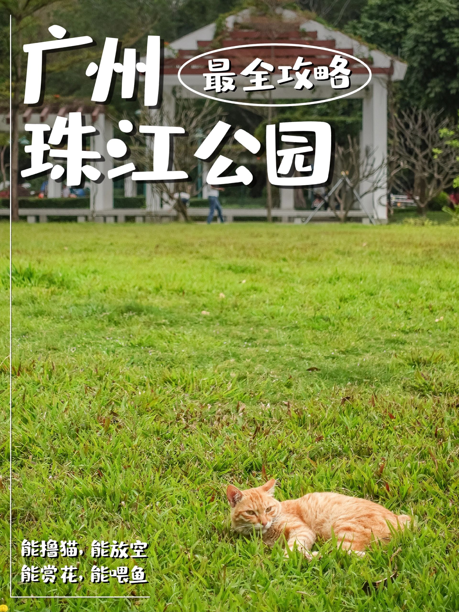 广州珠江公园全攻略，周末野餐拍照圣地！