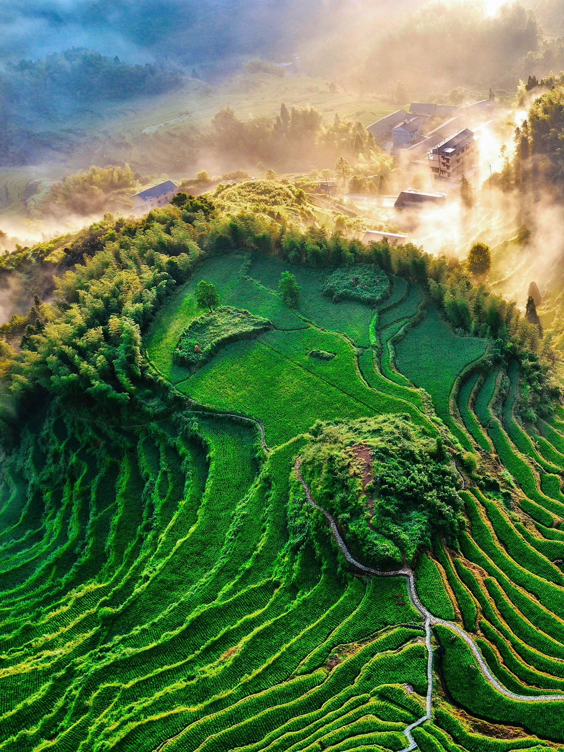 比起松阳我更爱这个景美人少的小众旅行地