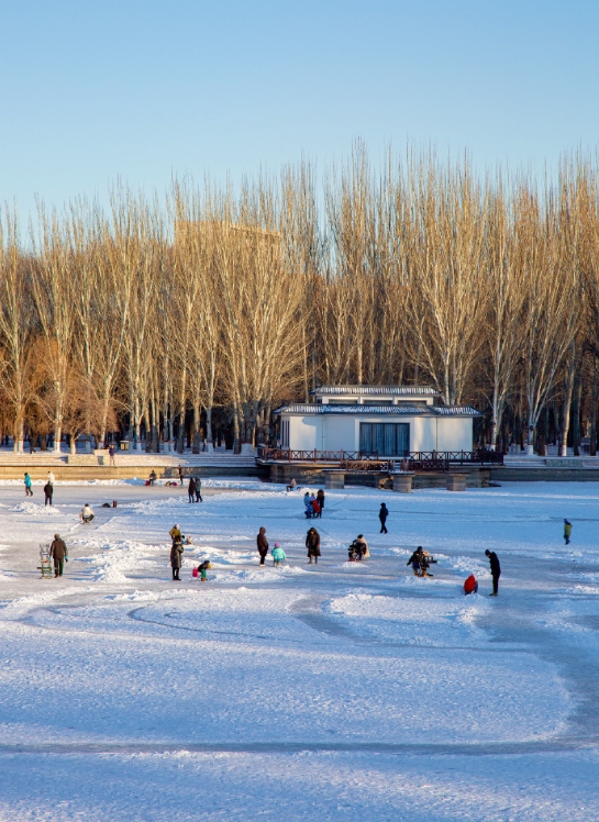冬季的劳动公园，可赏雪，可滑冰
劳动公园的湖面冻成了冰面，
一部分还覆盖着白雪。