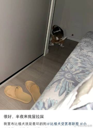 很好，半夜来我屋拉屎 ​