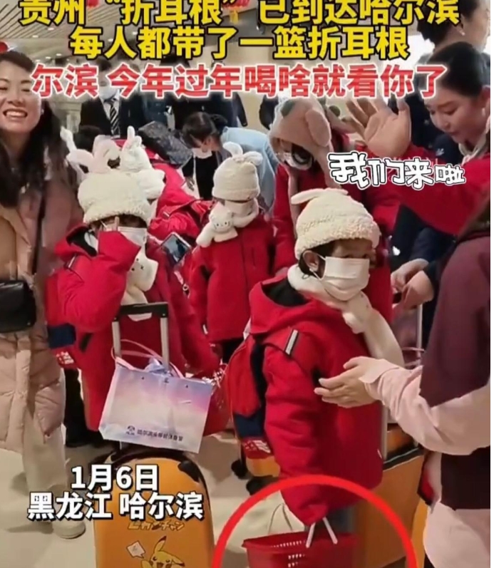 哈尔滨是捅了 孩子窝了吗？！

继广西“小砂糖橘”、云南“小菌主”、河南“小豫米