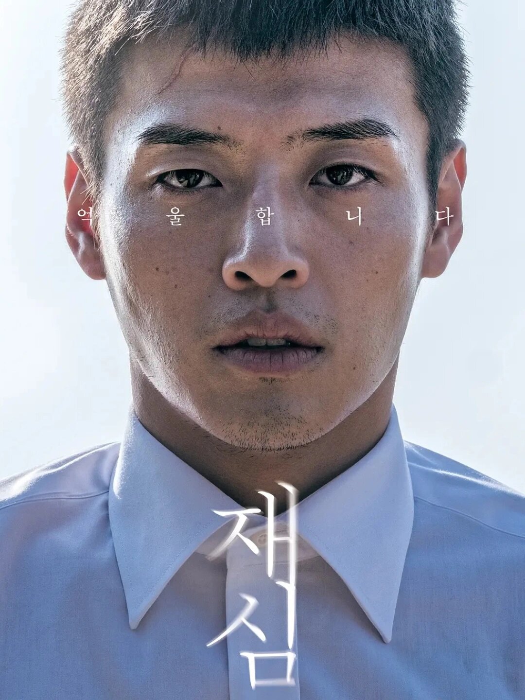 好剧推荐《再审 》