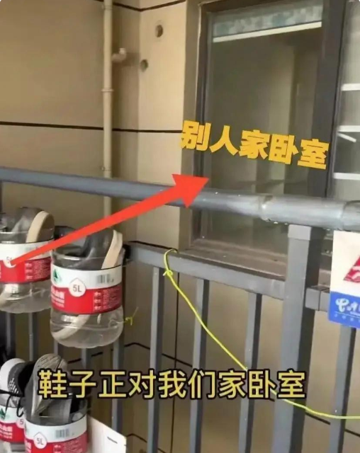新来的邻居究竟能“穷”到什么程度？

这让我感到非常好奇。他们似乎把生活的每一分