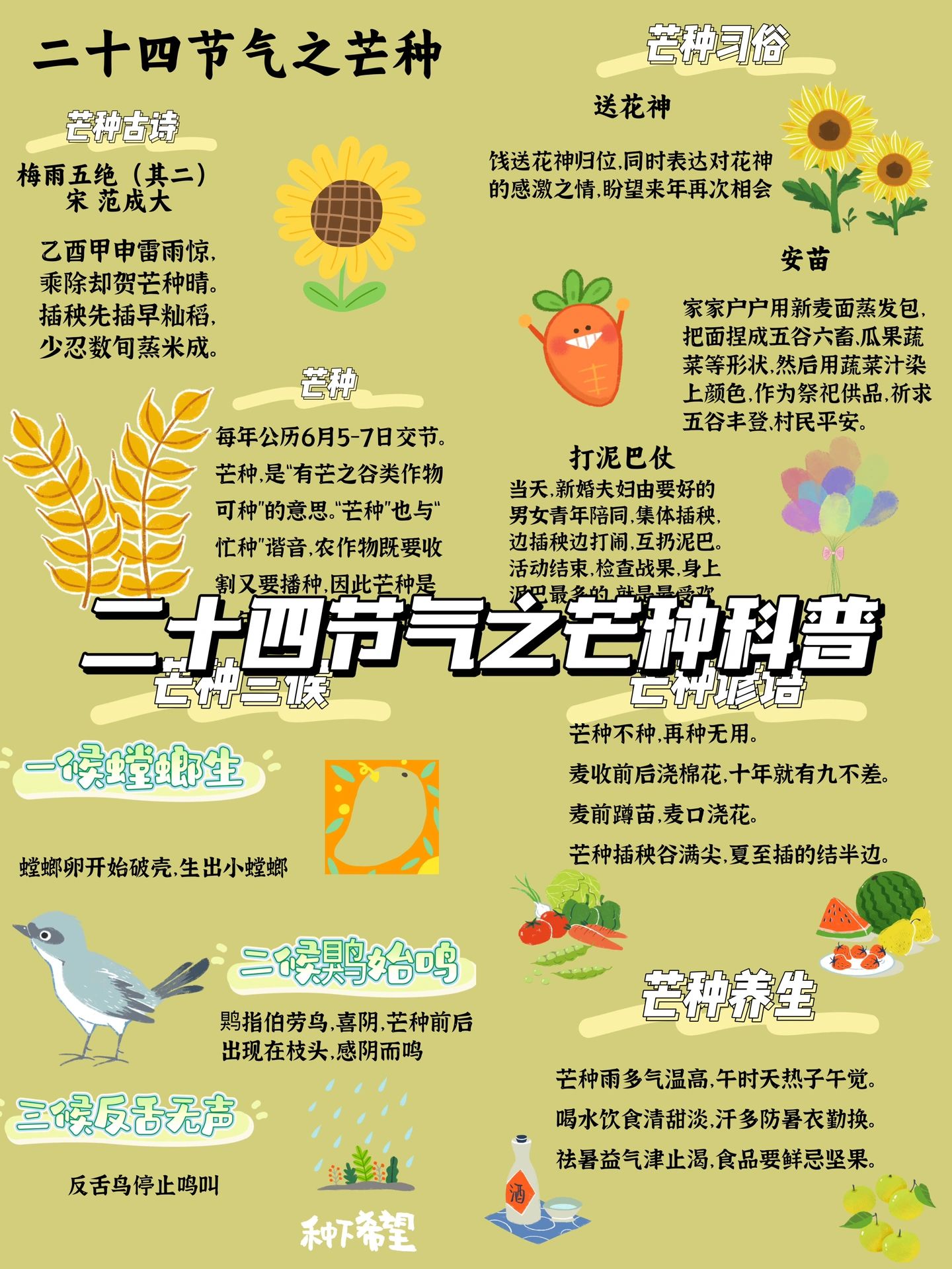 芒种科普#芒种节气的含义#