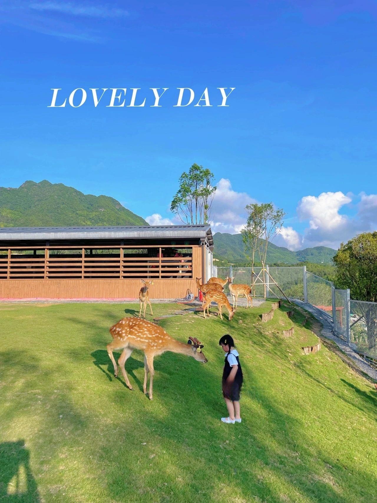 温州新晋亲子游胜地，高山上的宝藏乐园