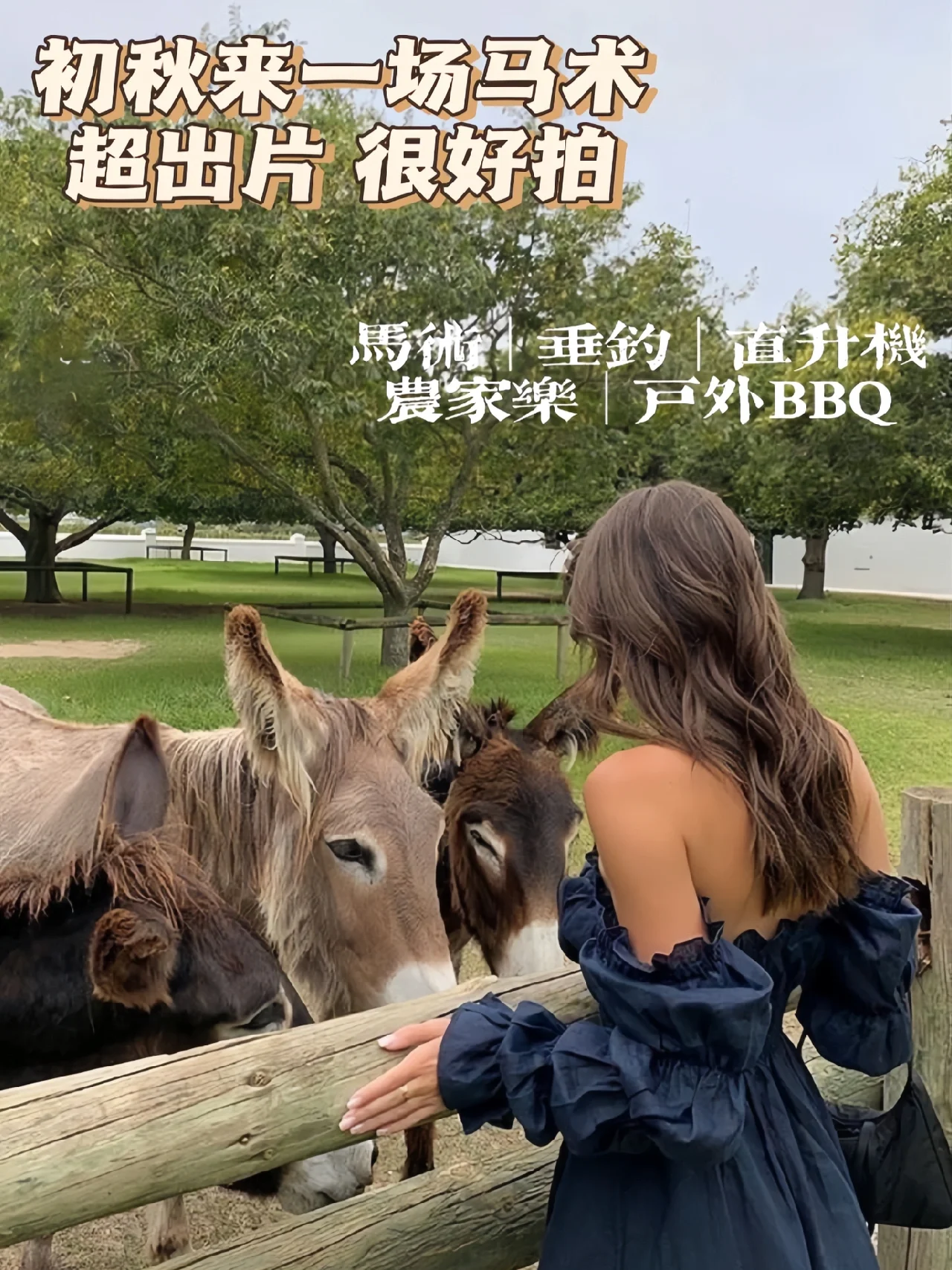 广州45mins车程 | 宝藏农场露营地