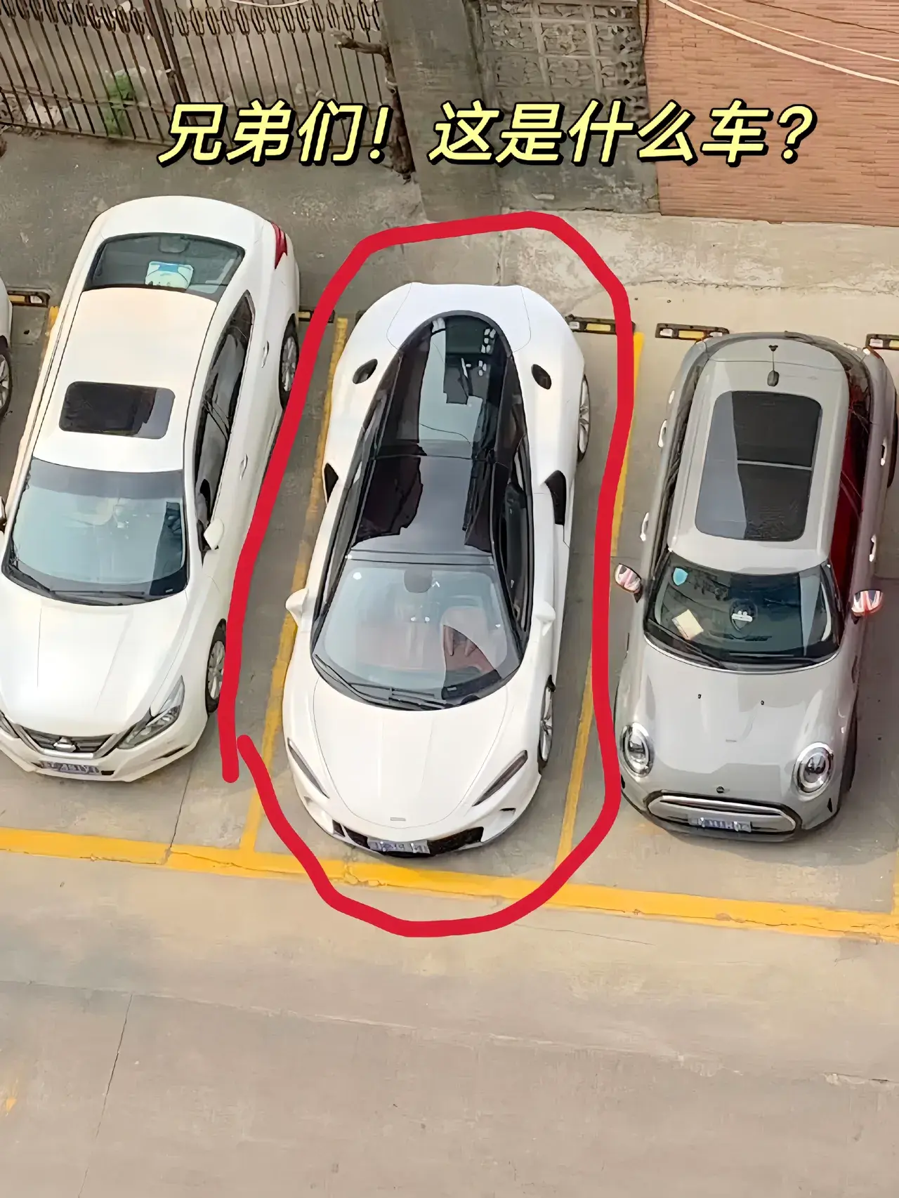 评论区告诉我这是啥车呀？这么别致