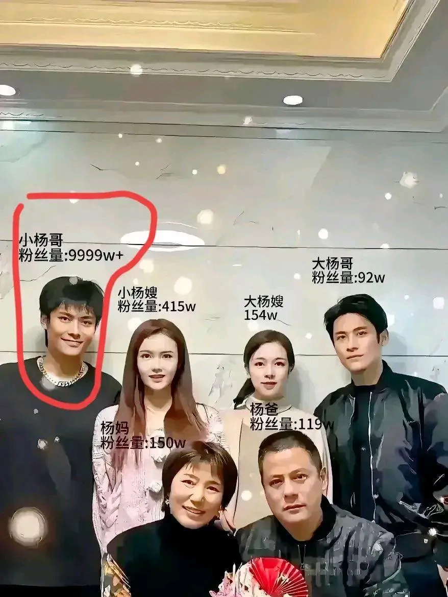 雷军说过抓住了风口猪都能起飞，小杨哥7年前还在广东工厂里打螺丝，短短几年时间却已