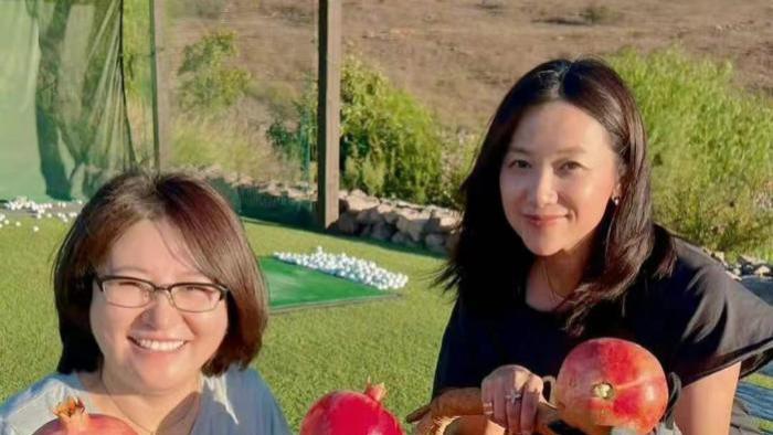 知情人曝徐静蕾在美国秘密产女？孩子父亲成谜！