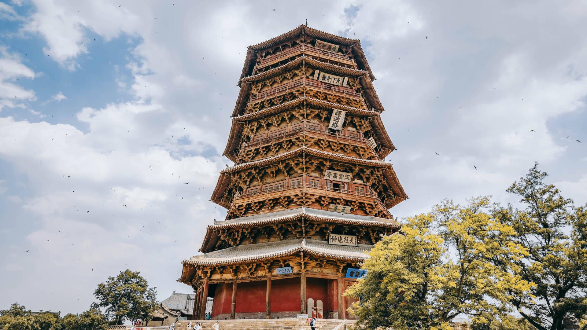 麻燕绕飞的千年应县木塔，小鸟是木塔守护神还是麻烦制造者？