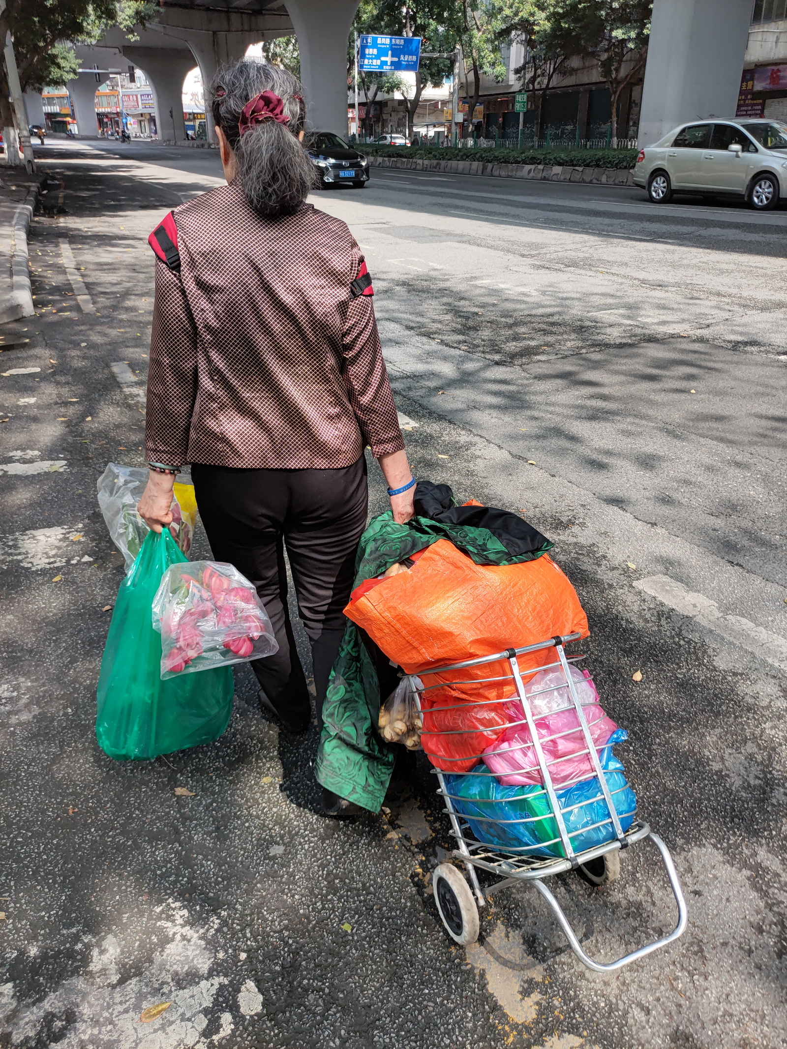 腊月廿四，阿姨去西塱市场采购年货，满载而归，采购太多，以至于每走十几步，就要停下