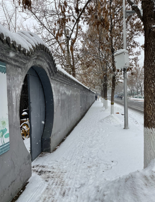 颐和园初雪

一直想记录颐和园的东宫门建筑，一直犯懒。
一场初雪，银装素裹。
门