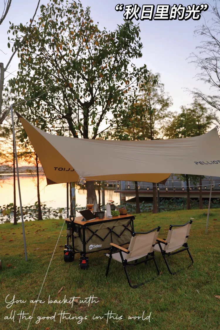 广州露营在草坪落羽杉湖边邂逅绝美日落