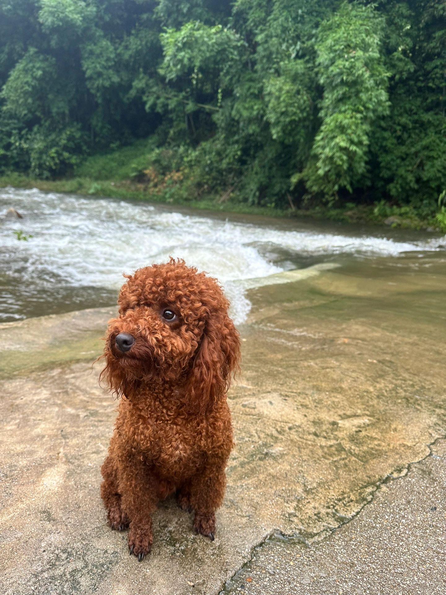 广州增城-这个玩水的地方让我后悔了😭
