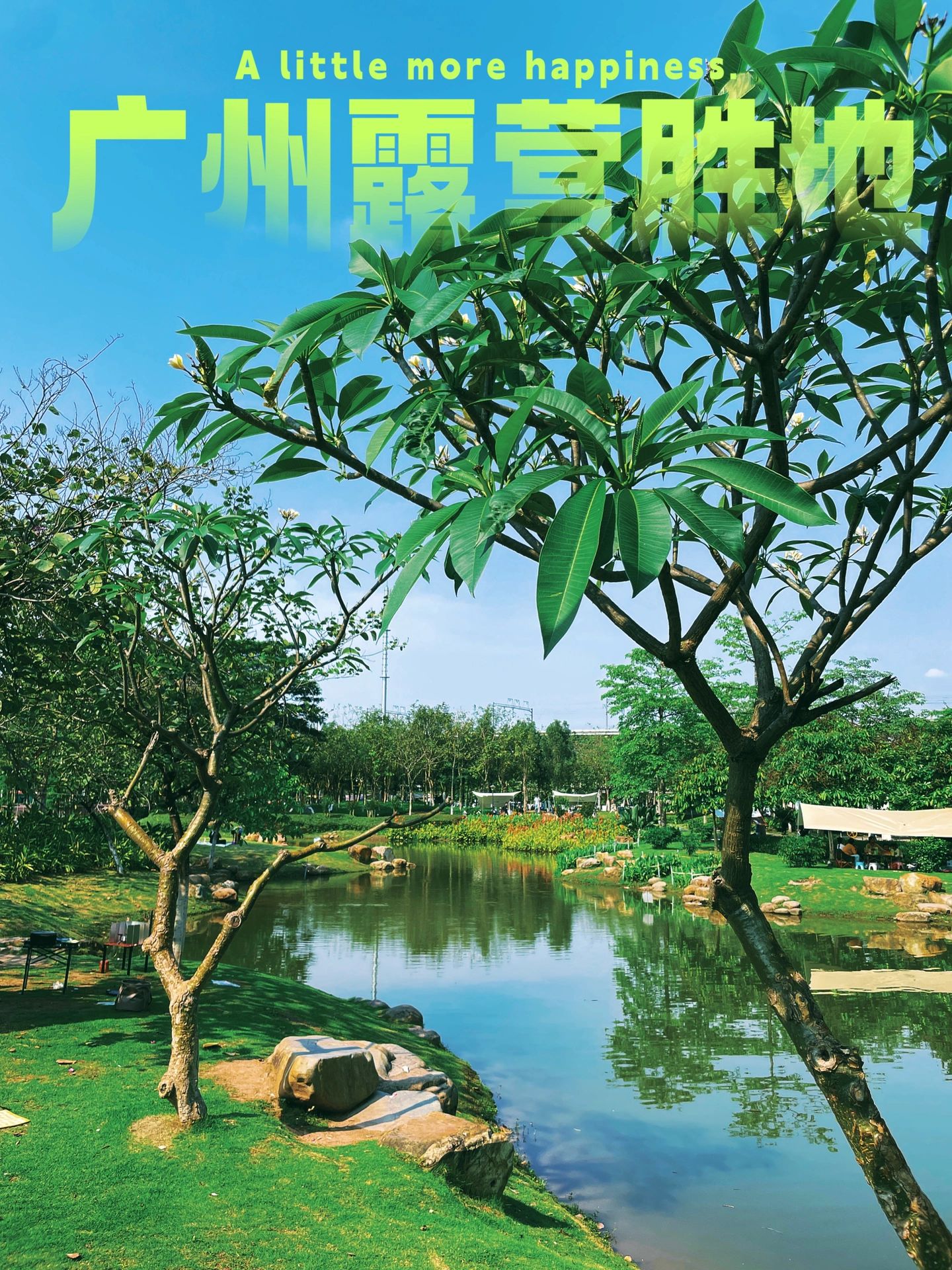 广州免费露营地 ｜ 踏青团建遛娃走起‼️