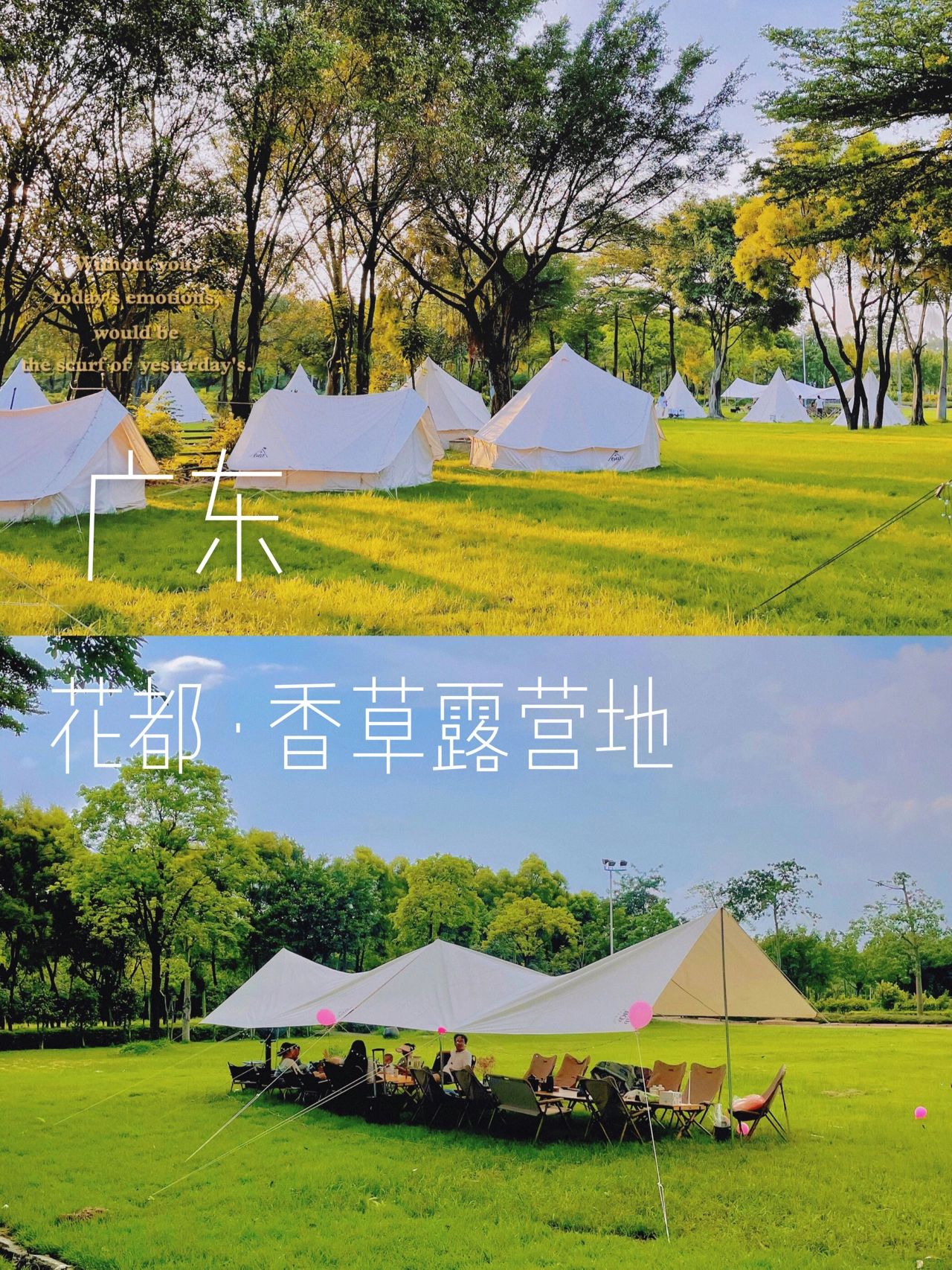 夏日逃离城市计划 | 花都香草世界露营吧